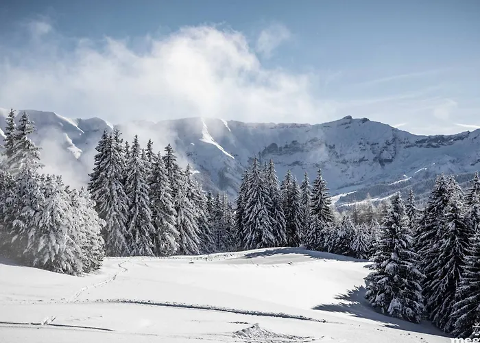 Daire Appartement Chic Alpin De 100M² Avec Balcon Et Garage, Proche Centre Megeve - Fr-1-569-100 *