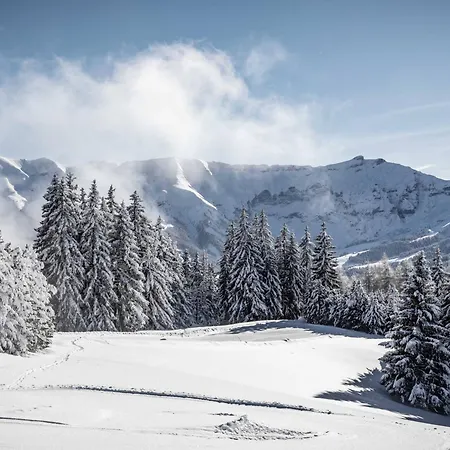 Apartment Appartement Chic Alpin De 100M² Avec Balcon Et Garage, Proche Centre Megeve - Fr-1-569-100 *